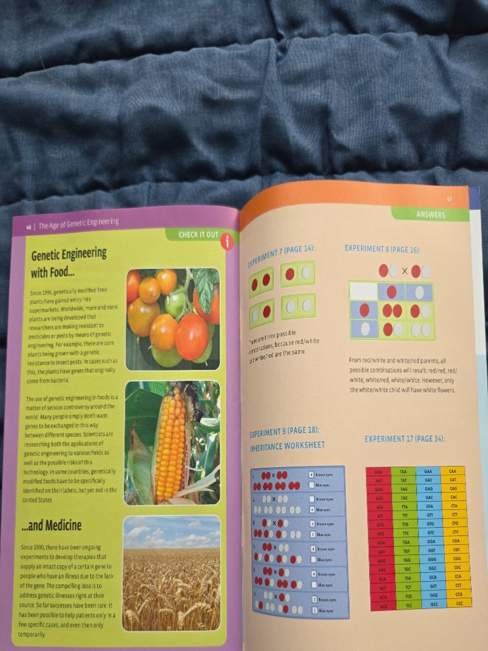 KIDS EDUCATIONAL STEM EXPERIMENT KIT, GENETICS AND DNA, AGES 10+ - Picture 9 of 10